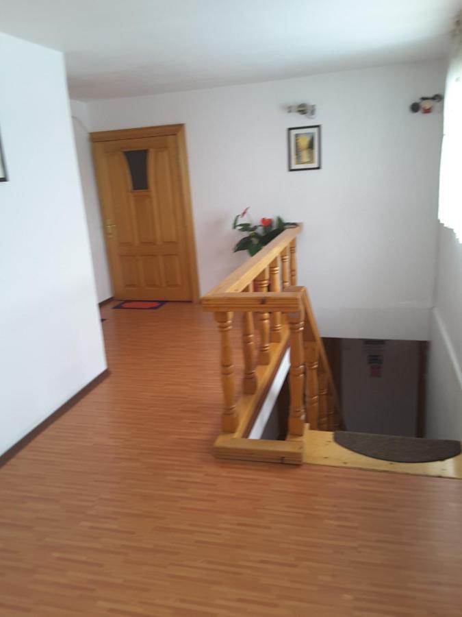 Camere De Inchiriat Edelweiss Dumbrava Roşie 外观 照片