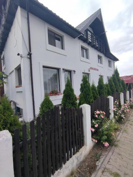 Camere De Inchiriat Edelweiss Dumbrava Roşie 外观 照片